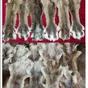 выделка конских лап, лап оленя, изюбря в Улан-Удэ и Республике Бурятия 4