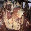 реализуем мясо говядины в Улане-Удэ 2