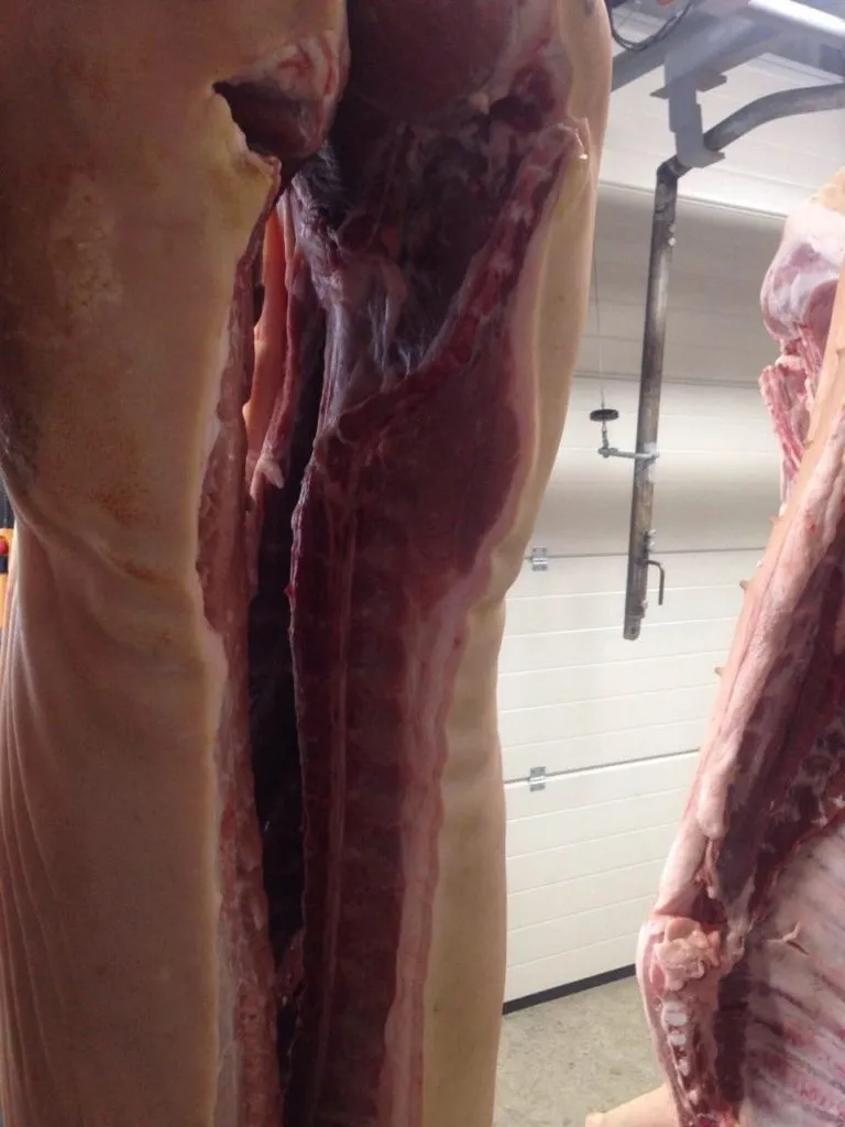 мясо свинина в полутушах от 170 руб/кг в Уфе 3