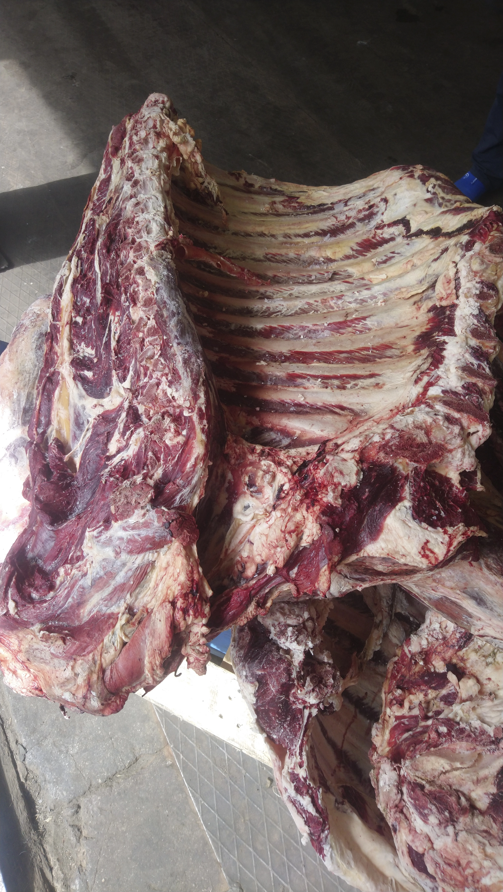 фотография продукта говядина в полутушах. в Улан-Удэ