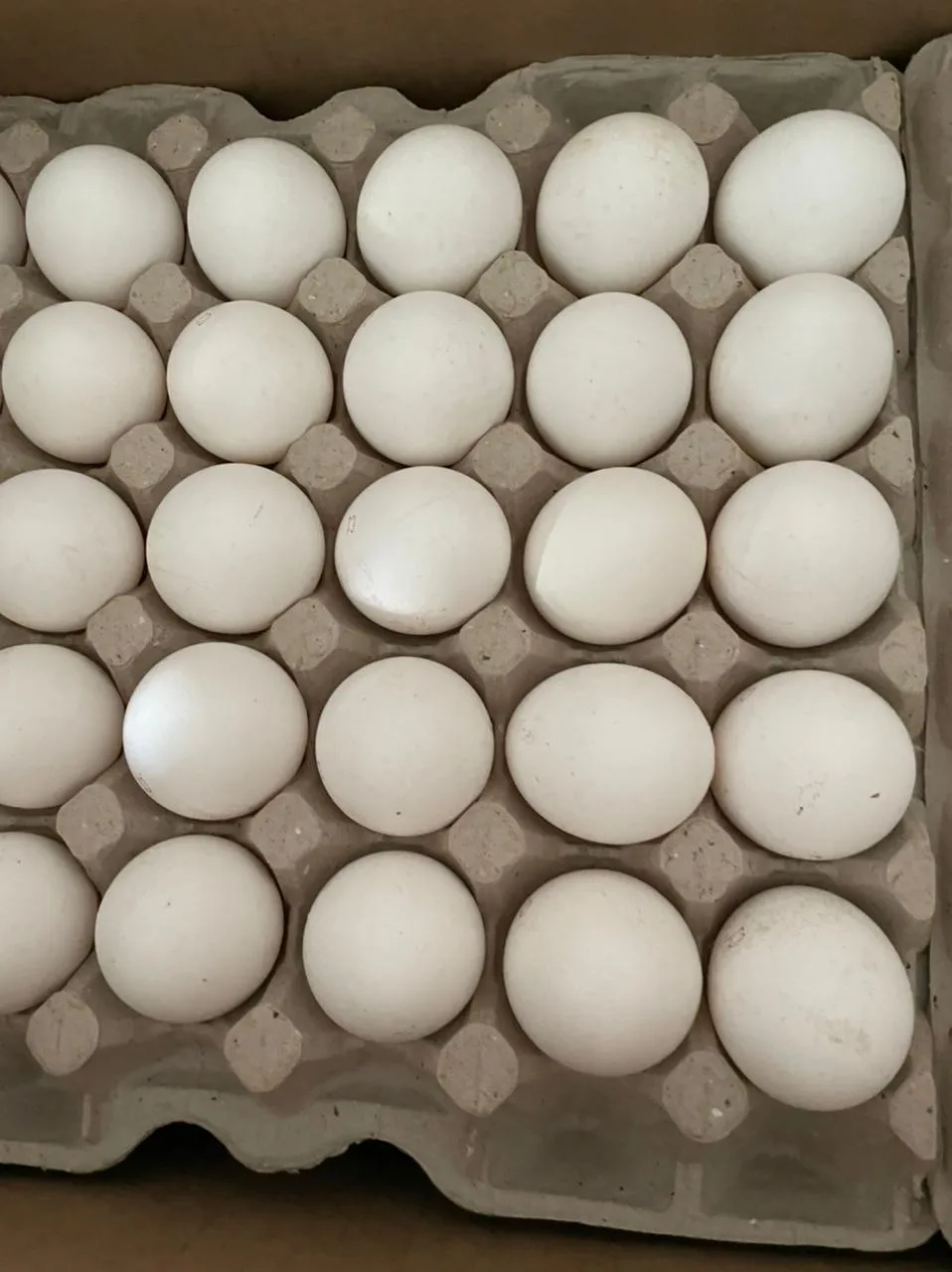 яйца куриные  в Улане-Удэ 2