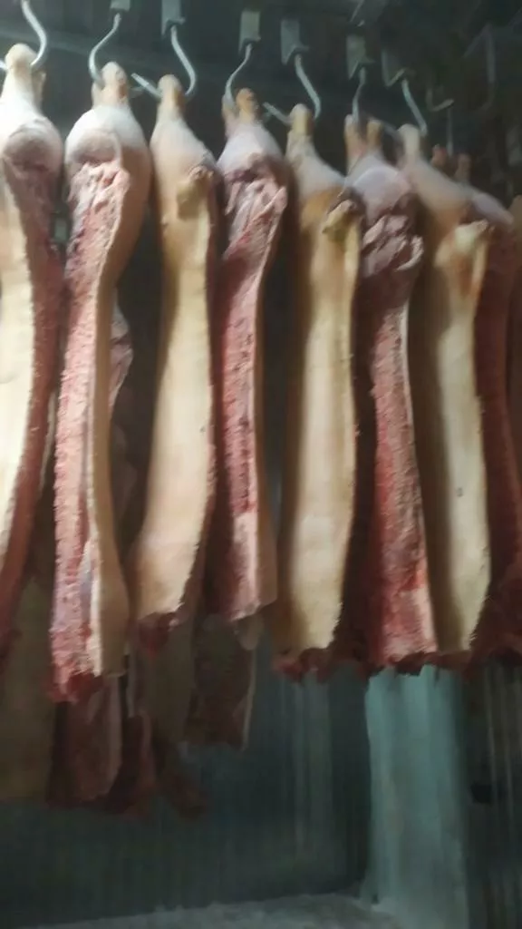 Фотография продукта Реализуем мяса свинины разных категорий