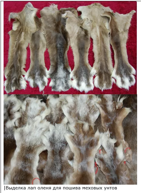 выделка конских лап, лап оленя, изюбря в Улан-Удэ и Республике Бурятия